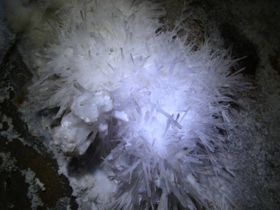 Flores de aragonita, no Salão dos Cristais - Caverna Santana - PETAR - Foto do Jura, da Parque Aventuras